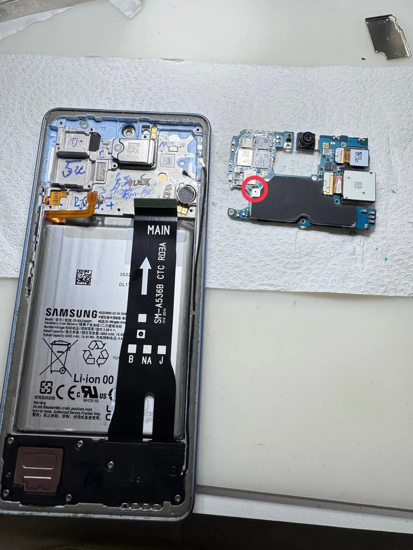 拆解開的三星 Galaxy A53，可見電池與標示 MAIN 的主機板，紅圈標示故障區域